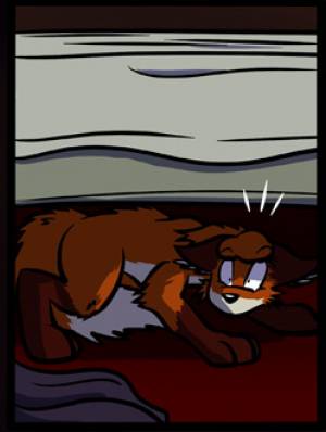 The feral version of Sierra.